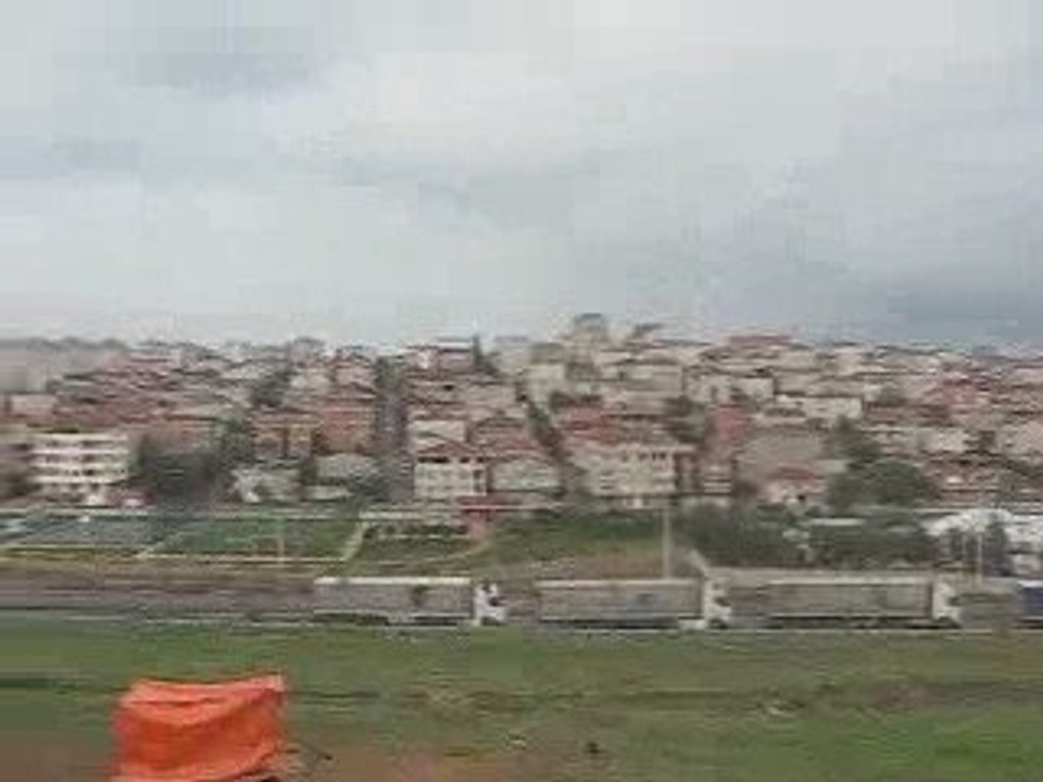 Mavi Güvercin Taklacı-2 (Eke kuş)