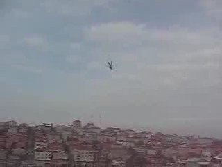 Mavi Güvercin Taklacı-2 (Eke kuş) iniş