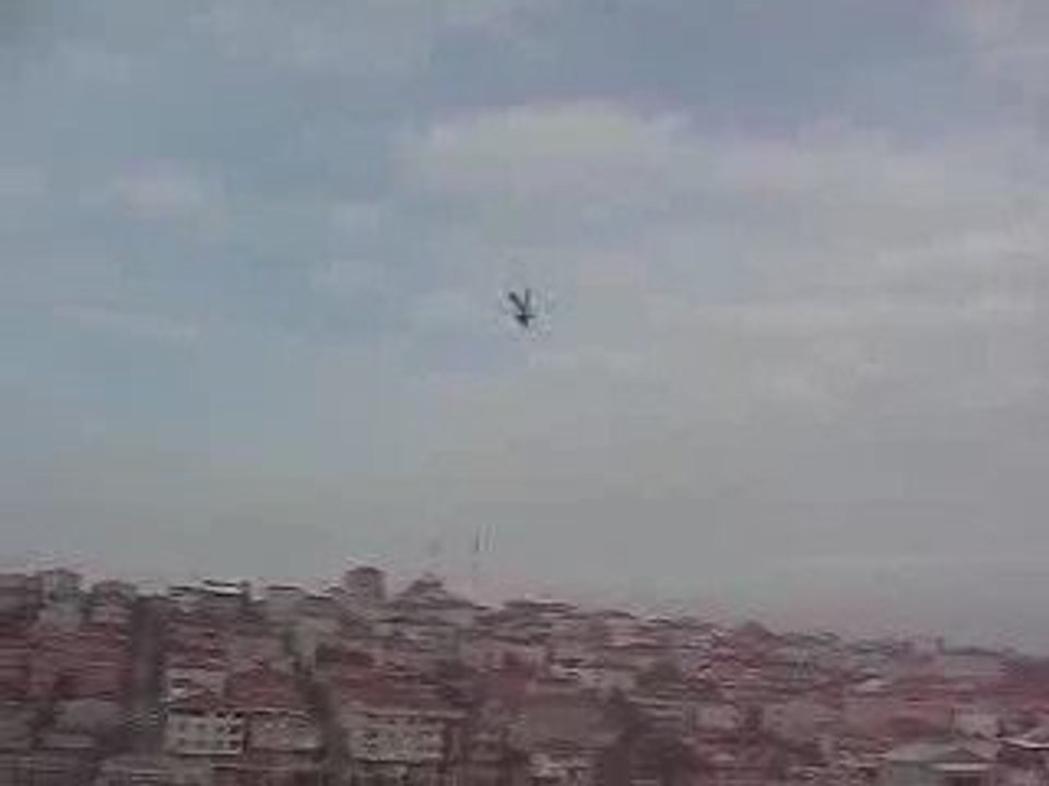 Mavi Güvercin Taklacı-2 (Eke kuş) iniş