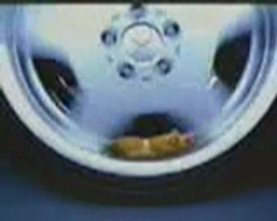 Hamster amateur de sensations fortes :-)