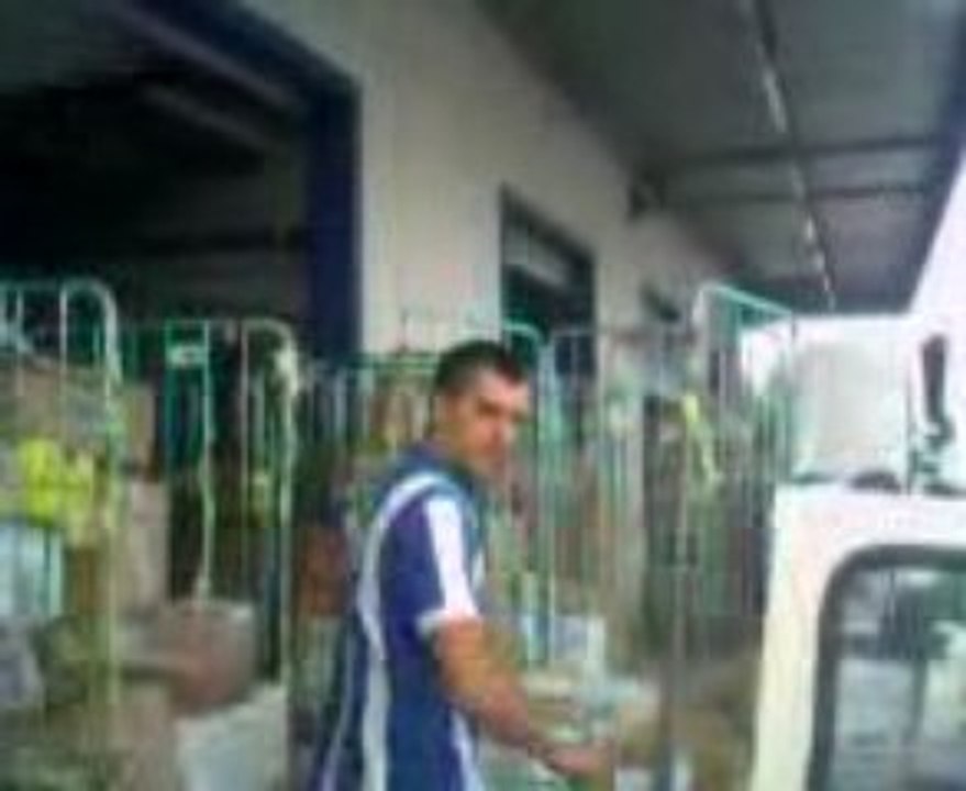SDA