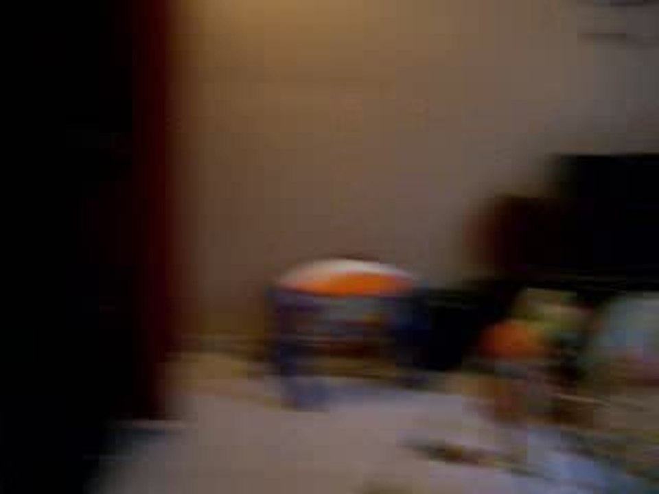 100_6006