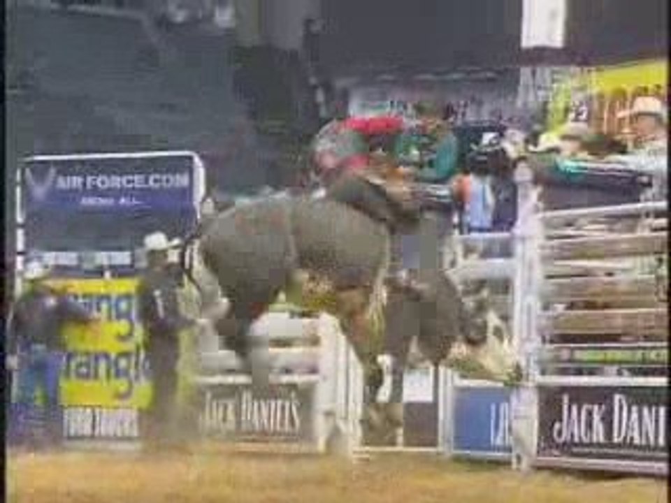 ANIMAL ATTAQUE