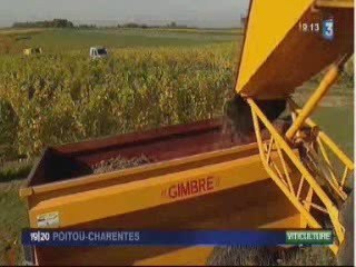 vendanges tardives...