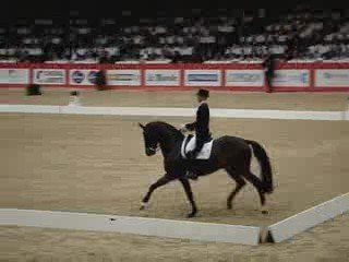 Extraits de la RLM à Equitalyon 2009