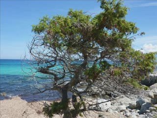 Le désert des Agriates