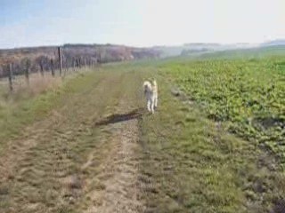 DAIKOO & KENZO 5 MOIS