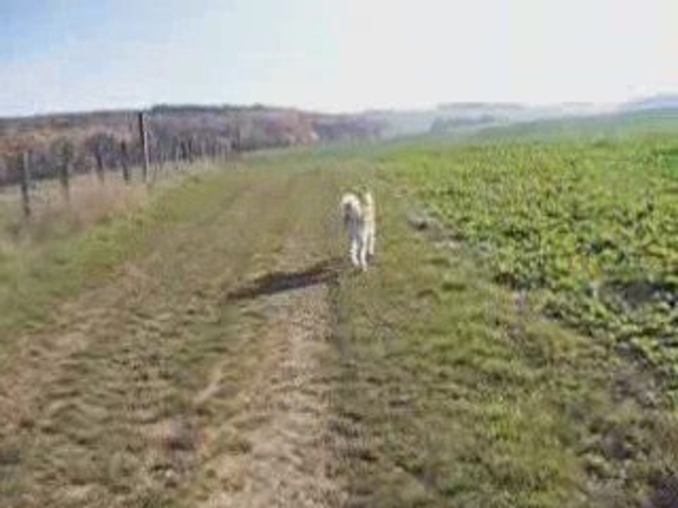 DAIKOO & KENZO 5 MOIS