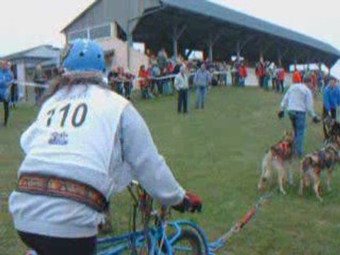Guy Goudeau - National de Chiens Traîneaux - Mondoubleau