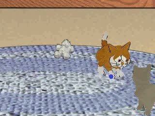 ep 1 la fete de chat les chats bete