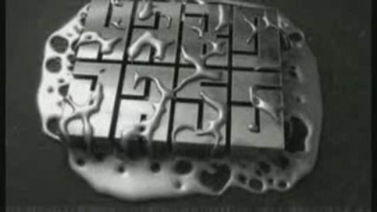 HardBass official trailer  2010 by B2S - hardstyle festival