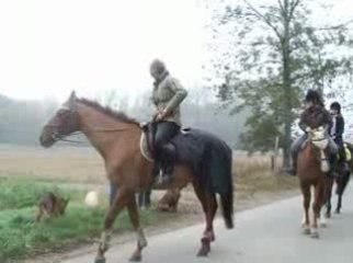 diverses situations dans des lieux publics