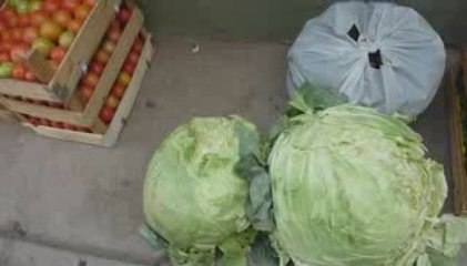 091024 Attack of the Killer Cabbages