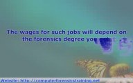 Opportunities Available With A Computer Forensics Degree