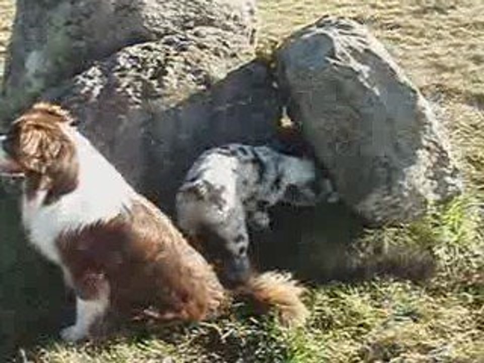 Estive découvre un rocher-cachette