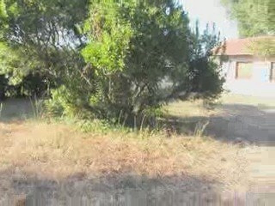 P9170117