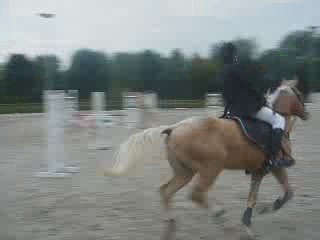 Lulu et moi a dechy