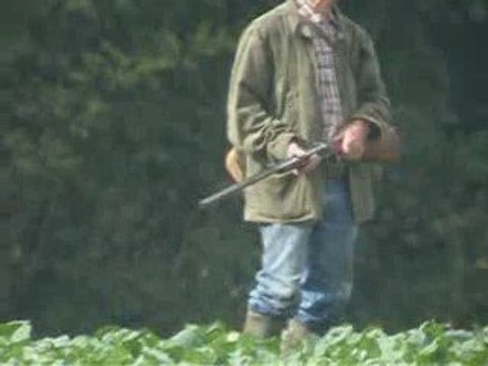 Vieux chasseur un peu perdu...