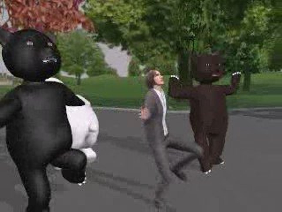 bear