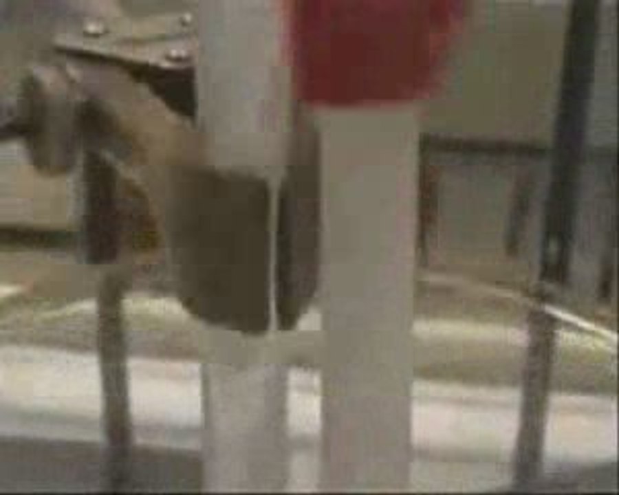 Création versus l'évolution