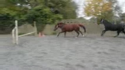 jo et so en saut