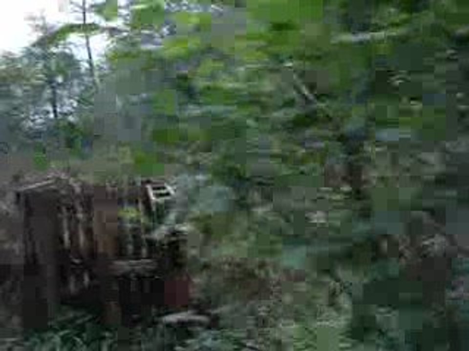 partie du 1er noembre 2009 a la meauffe avec adr et arya 024