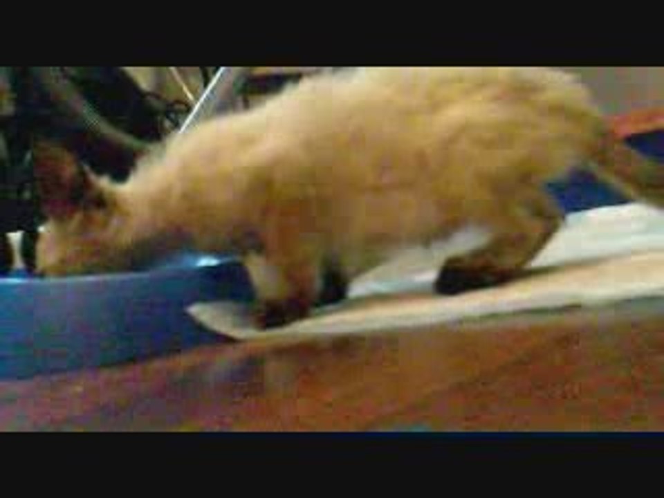 El nuevo miembro de la familia :-)