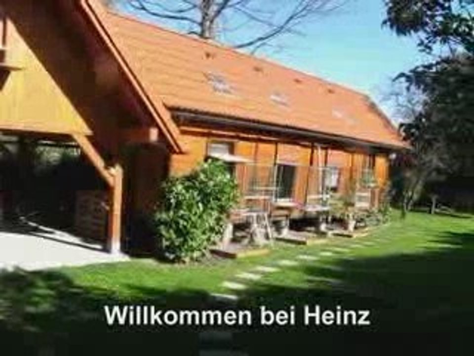 Brieftaubenschlag Heinz Kainersdorfer -Austria- Oktober 2009