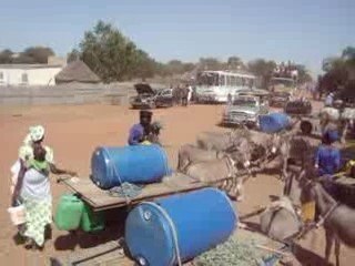 déferlement des talibés