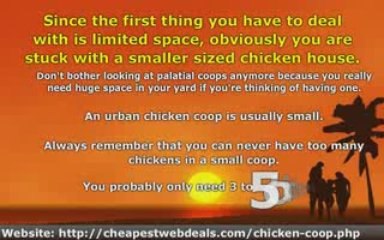 Maximize Limited Space - Urban Chicken Coop