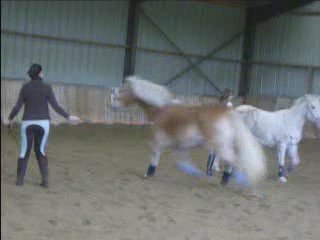 1ère démo (1er Nov.)