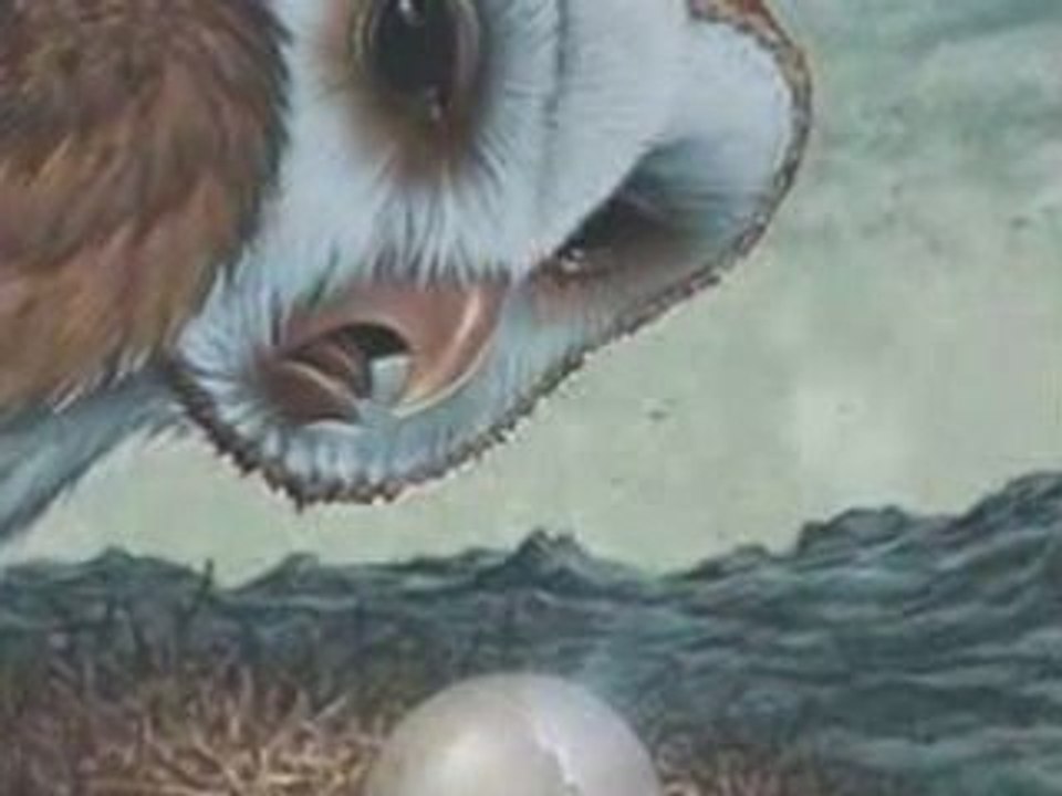 Guardians of Go Hoole Trailer/Commercial