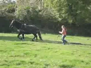 ramsès aux longues rennes mené par julie