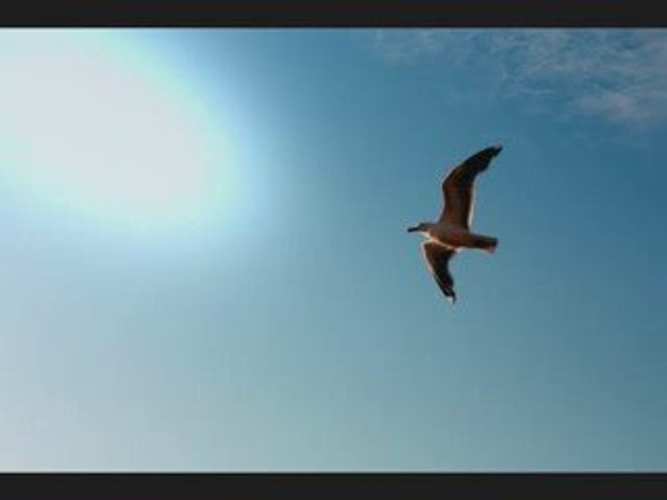 Katja Werker - No more prisoner