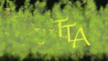 titane team Acrobatie Logo 2010 teste