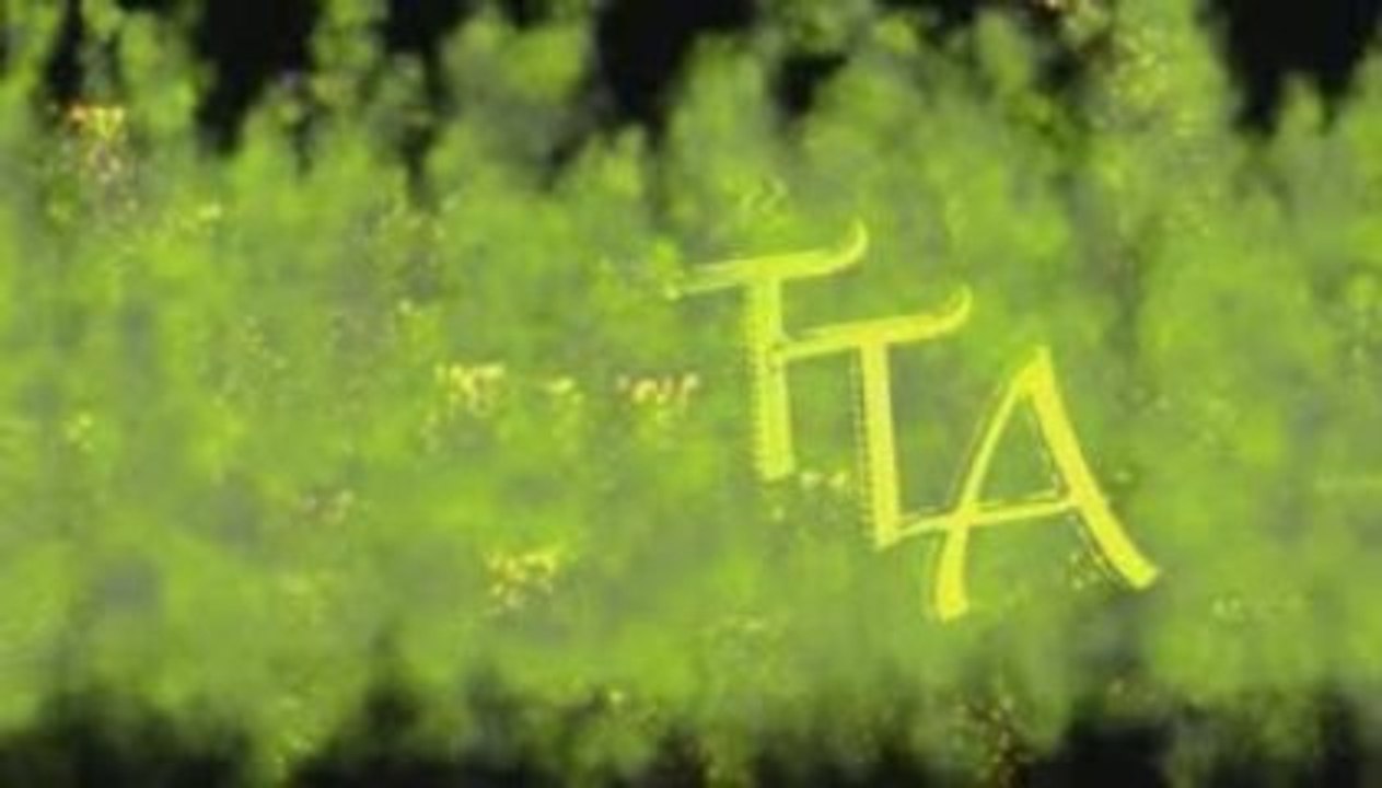 titane team Acrobatie Logo 2010 teste