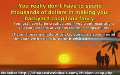 Ways to Make Your Backyard Coop Look Fancy