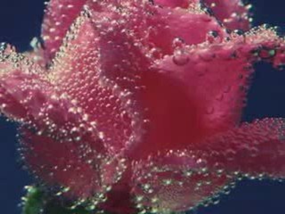 LIVE FROM THE HEART-CLAUDE CHALLE