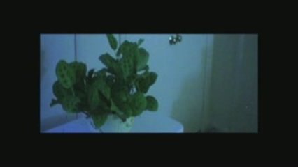 Home Plant Paranormal Activity 2009 [Time-Lapse]