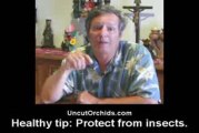 Healthy Orchids - Protect Your Orchids from Pests