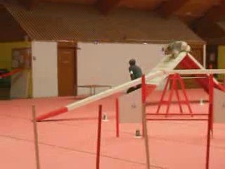 Agility Solgne