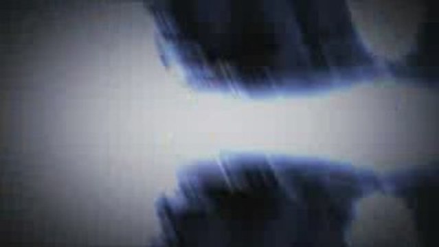 Les rats géants de Bellewaerde