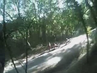 Rando Enduro Allemans de Dropt