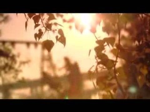 Один день из жизни города