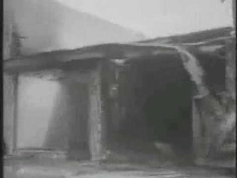 Les émeutes de Watts (1965)