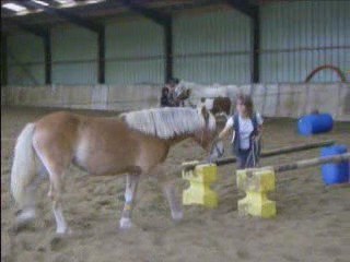 1ère démo (1er Nov.)