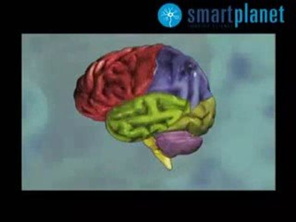 Orexinas: Bases neurologicas de la siesta