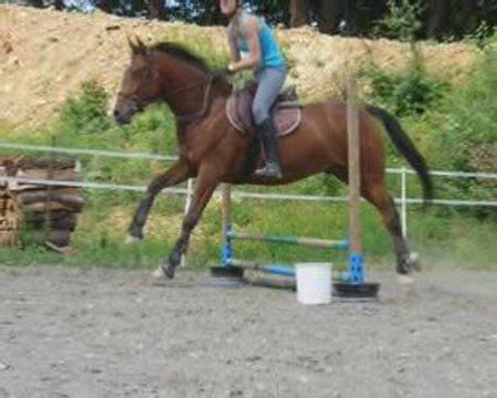 2 Novembre 2oo8 > 2 Novembre 2oo9 . . . 1an Radjah