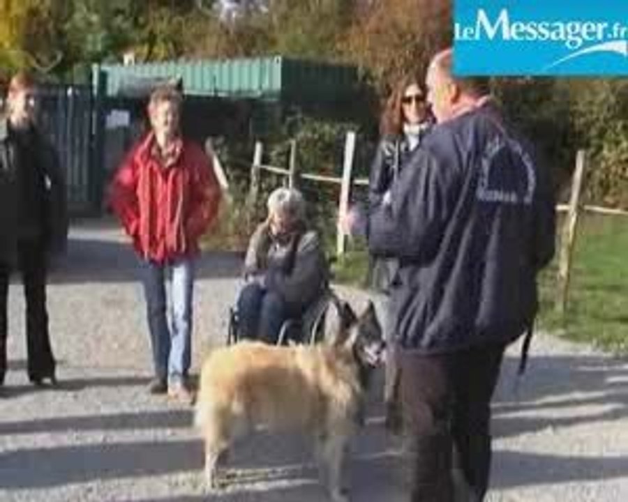 Méthode d'éducation canine : le cliqueur