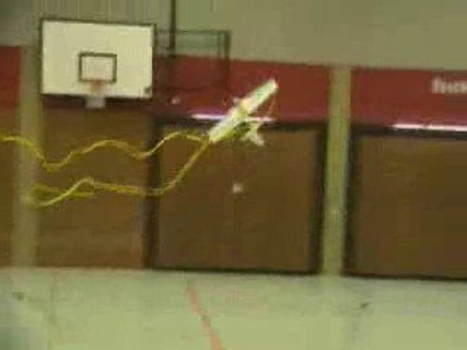 Soyouthinkyoucanfly